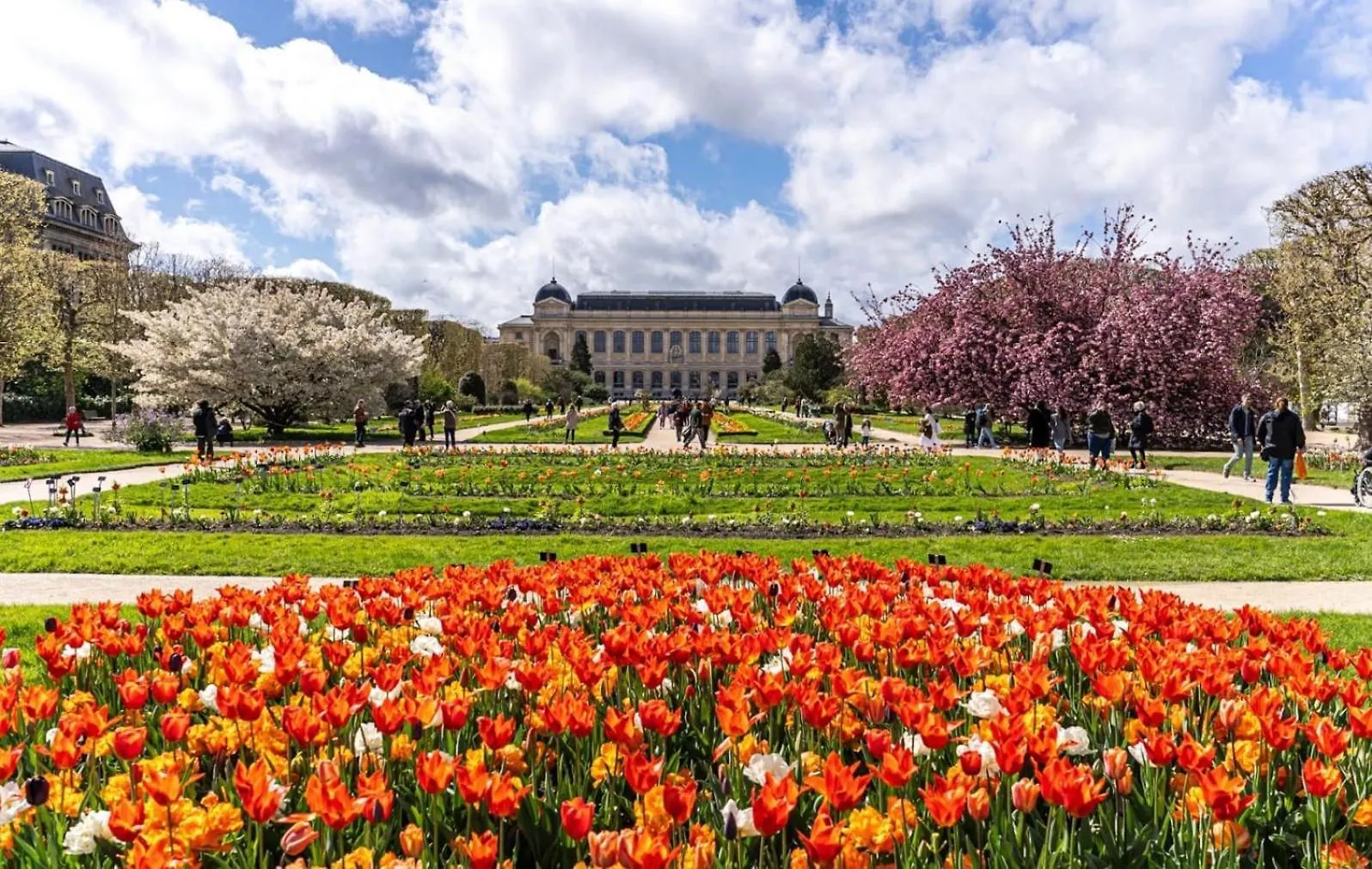 Studio Tres Joli Renove Quartier Notre-Dame Jardin Des Plantes Pantheon Pres De La Seine Paris 0*,